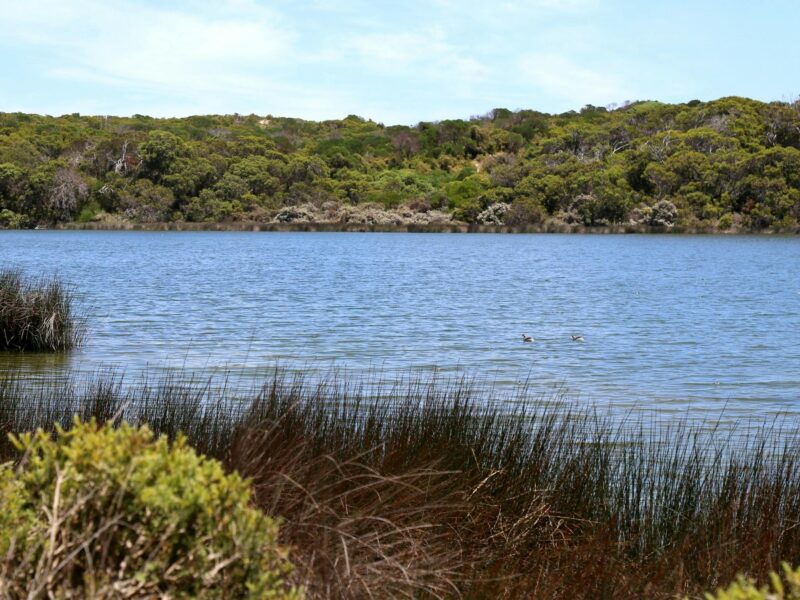 ATDW Little Dip Conservation Park Campground.jpeg Little Dip Conservation Park