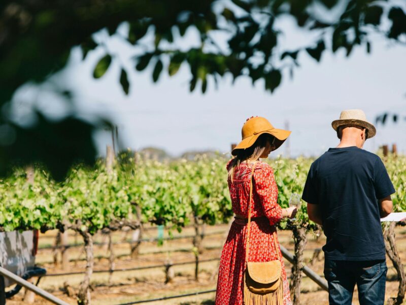 Couple enjoying the Coonawarra Vineyards