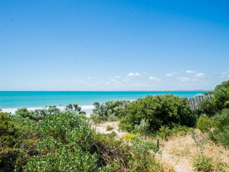 ATDW No 5 Red.jpeg No 5 Red