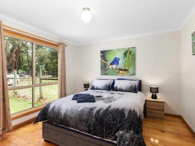 ATDW Pet Friendly Cottages.jpeg Collie Main