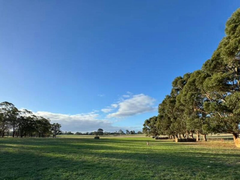 ATDW Pine Ridge.jpg Pine Ridge