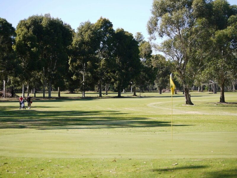 Penola Golf