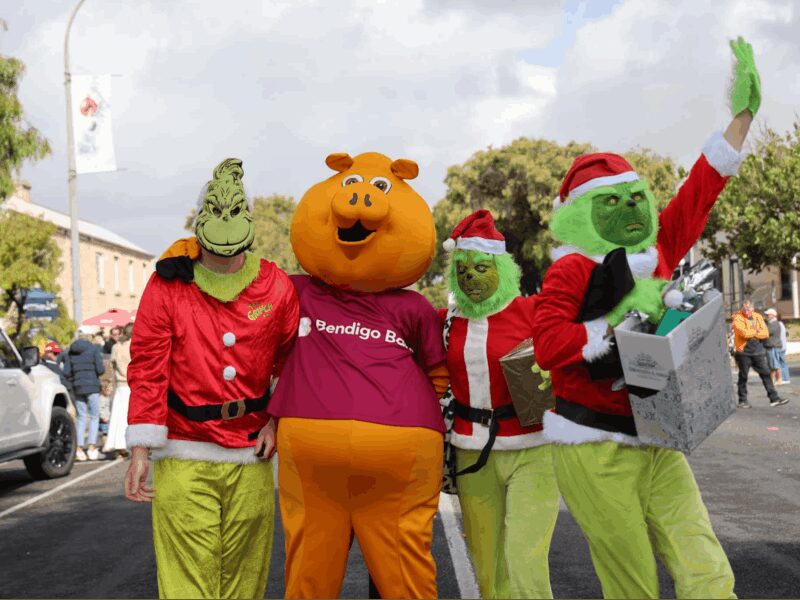 Robe Christmas Parade