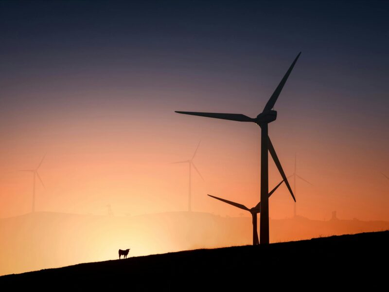 Windfarm Tourist Drive Sunset