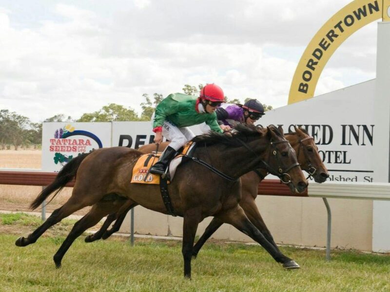 Bordertown Racing club