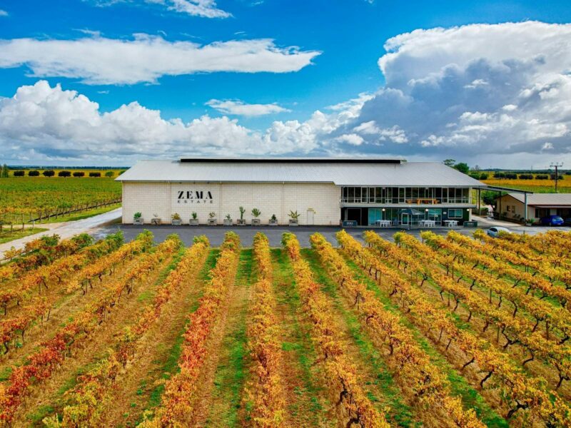 Vineyard with autumn leaves in coonawarra - zema estate winery in foreground