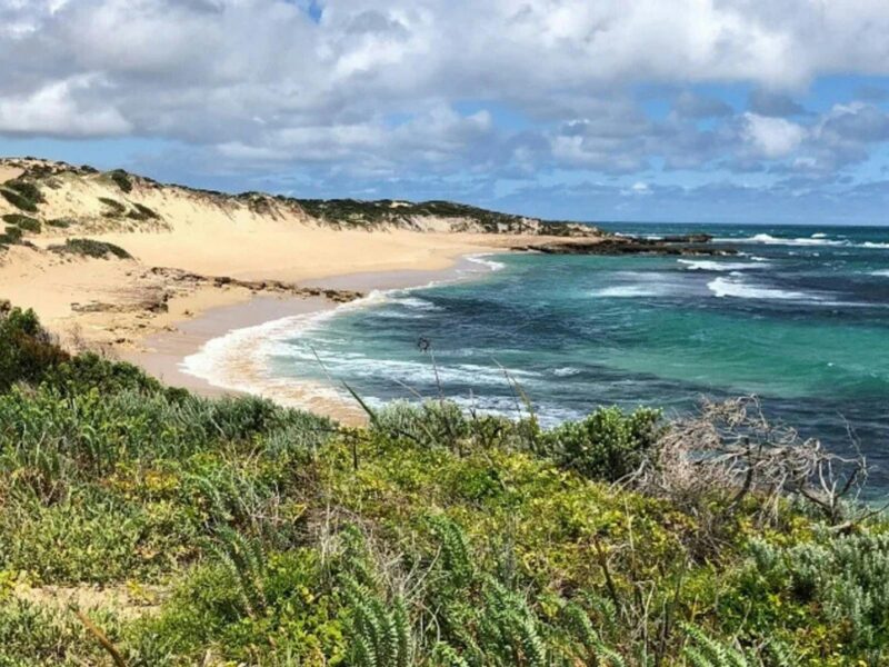 Scenic view of Little Dip Conservation Park, showcasing coastal vegetation, sandy shores, and blue w