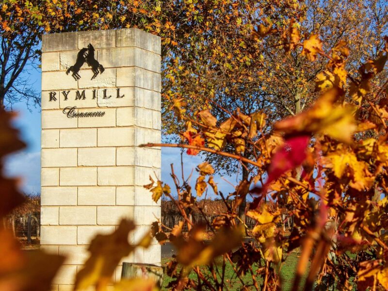 Easter Fun at Rymill Coonawarra edit2