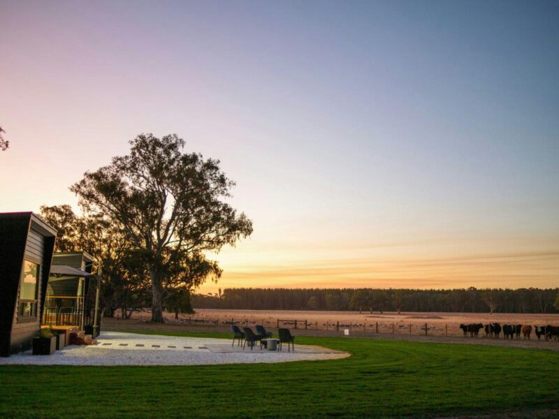 Stunning Sunset, overlooking the farm with sheep and cattle and kanagaroos in the distance.