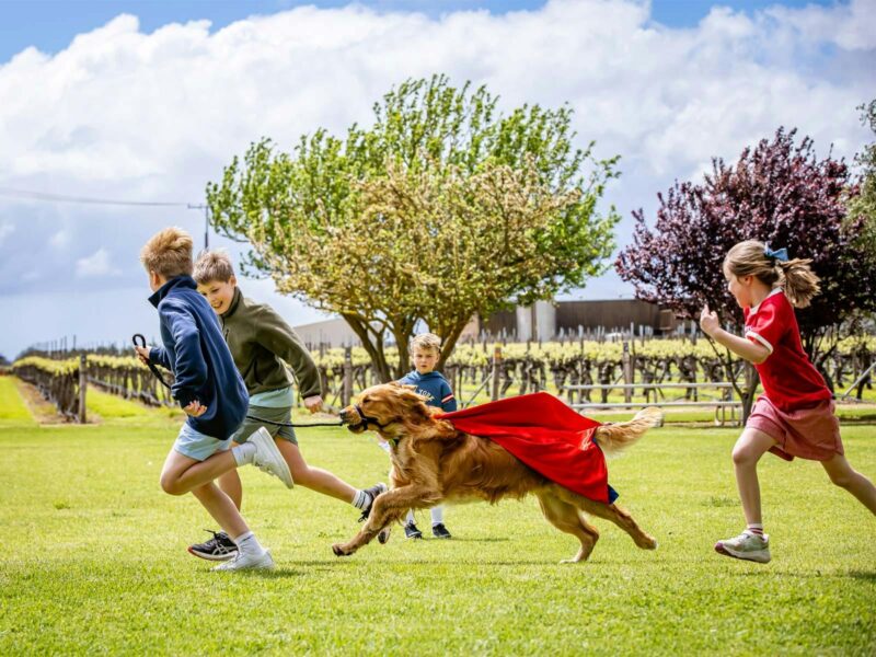 Kids run with dog along the Coonawarra Walking Trail