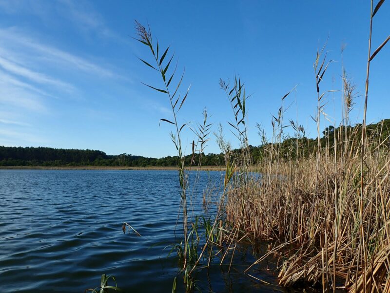 Lake Edward