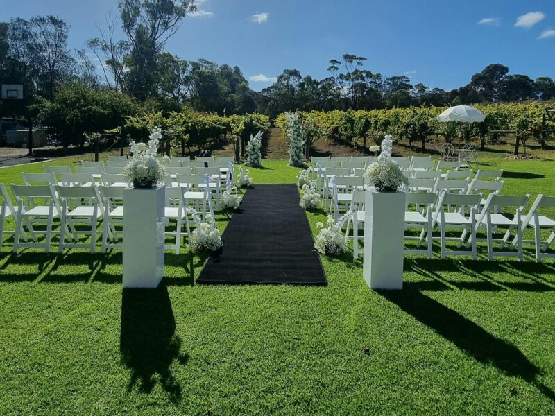 Outdoor ceremony setup with white chairs, on our grassed area in front of grape vines