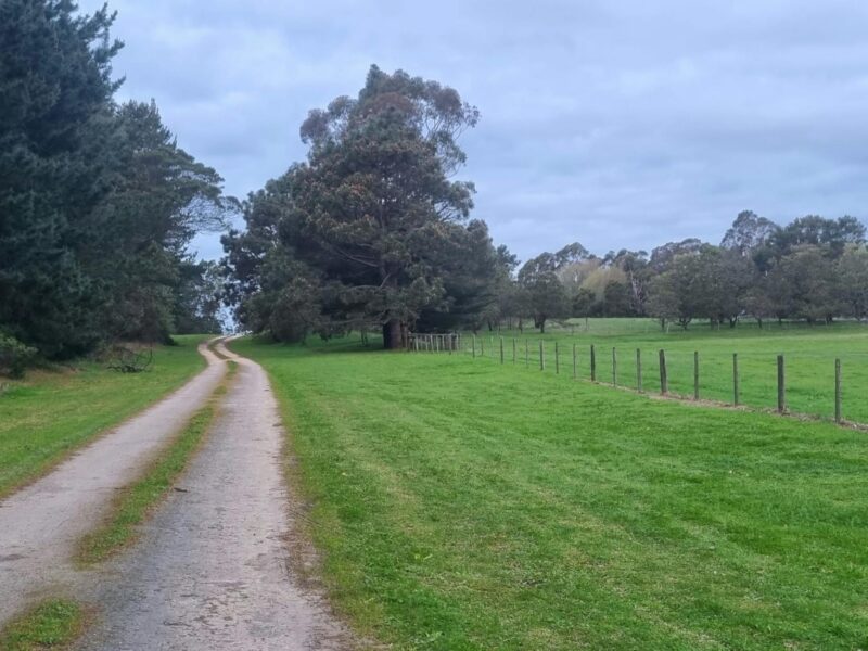 The laneway to the property 