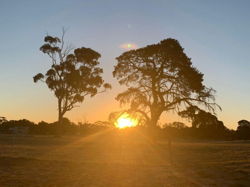 Bluegums Farm, Bordertown