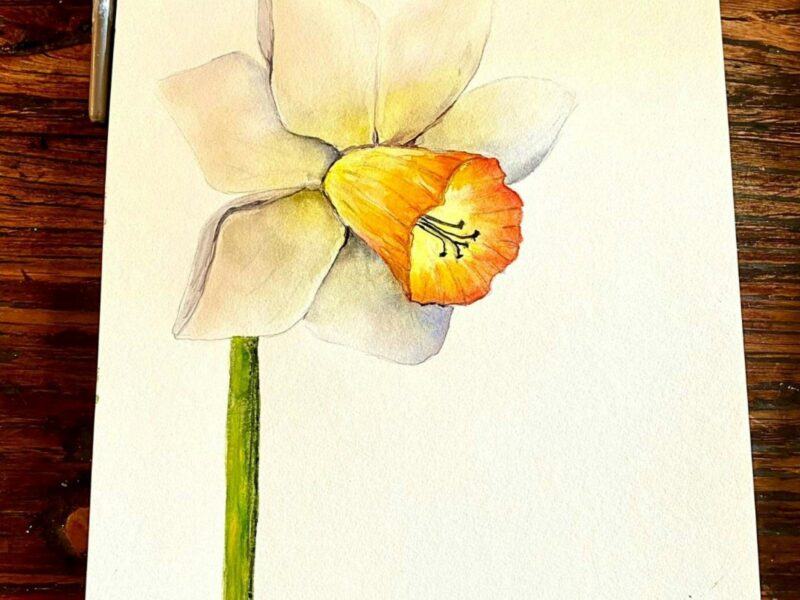 Watercolor
