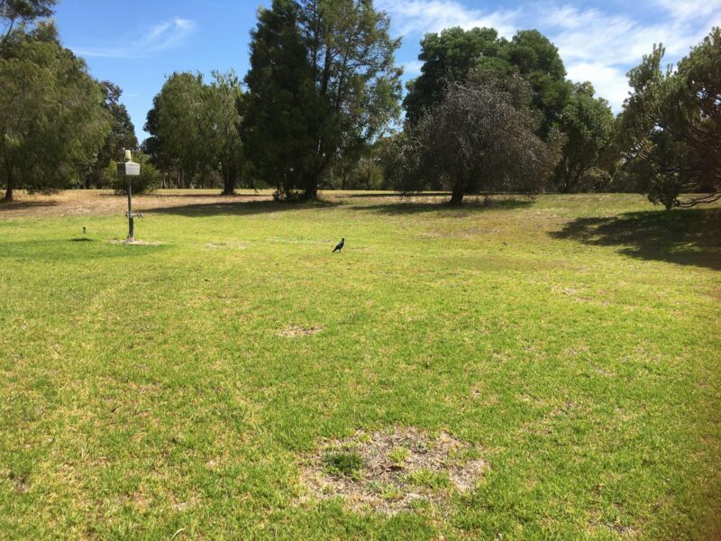 Grassed camping area